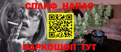 стаф Гатчина