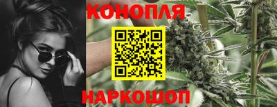 гашик Бузулук