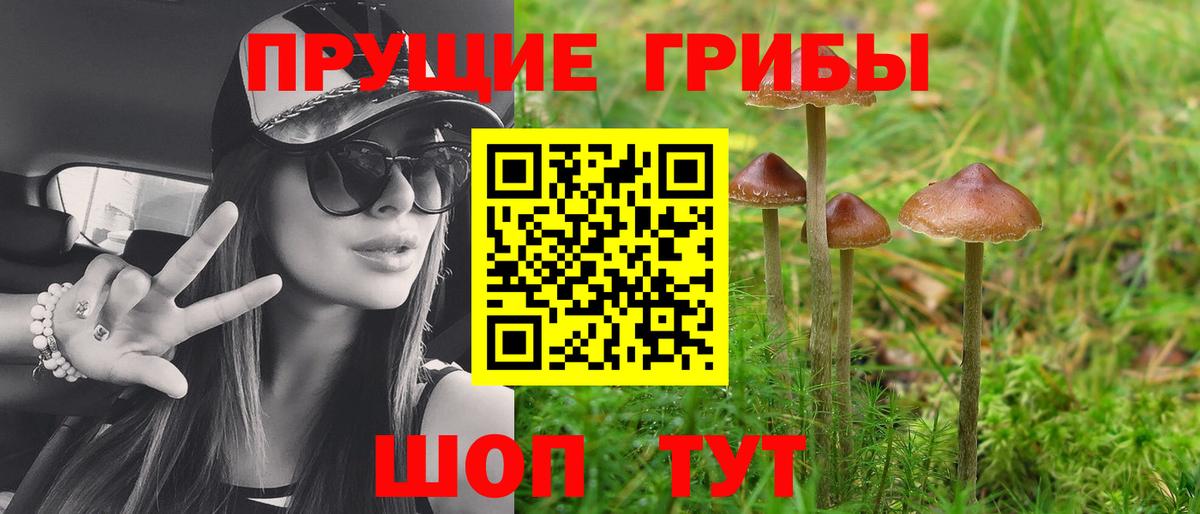 Вышний Волочёк  Галлюциногенные грибы Magic Shrooms  Вход с VPN  Псилоцибиновые грибы Psilocybe 
