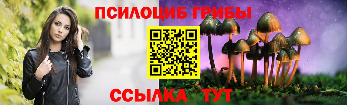 Псилоцибиновые грибы Magic Shrooms  Вышний Волочёк 