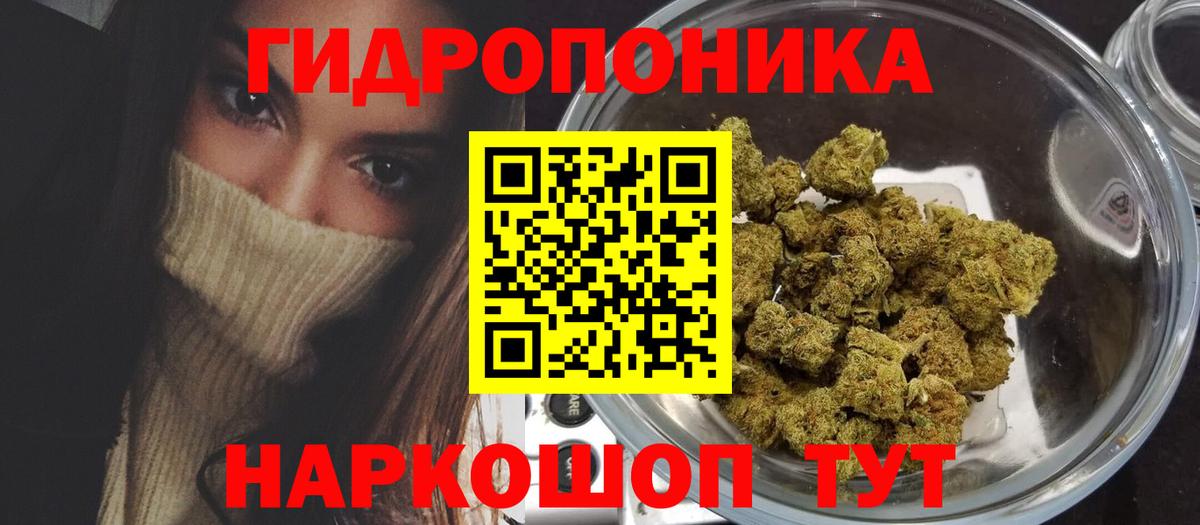 Каннабис марихуана  Канабис Amnesia  Канабис планчик  Вышний Волочёк  МАРИХУАНА тримм 